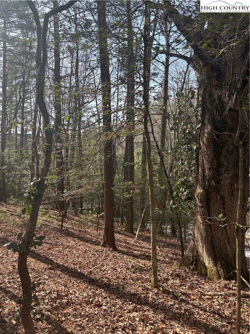 TBD Hollyknoll Rd. Lot #49 & 50, Glade Valley, NC, 28627 | Card Image