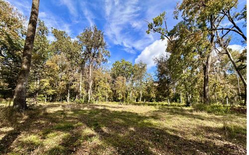 TBD Sw Boston Ter, Fort White, FL, 32038 | Card Image