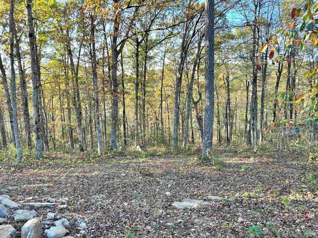 8997 Highway 9, House other with 2 bedrooms, 2 bathrooms and null parking in Mountain View AR | Image 37
