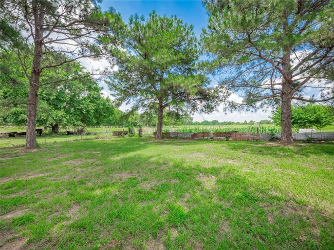 209 Old Sayers Rd, House other with 3 bedrooms, 2 bathrooms and 4 parking in Elgin TX | Image 6