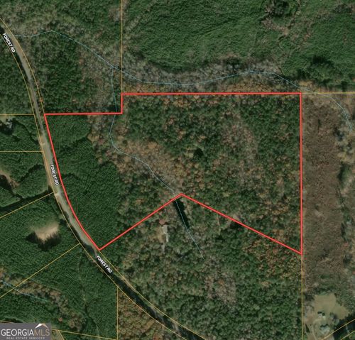 0 Forrest Rd, HOGANSVILLE, GA, 30230 | Card Image