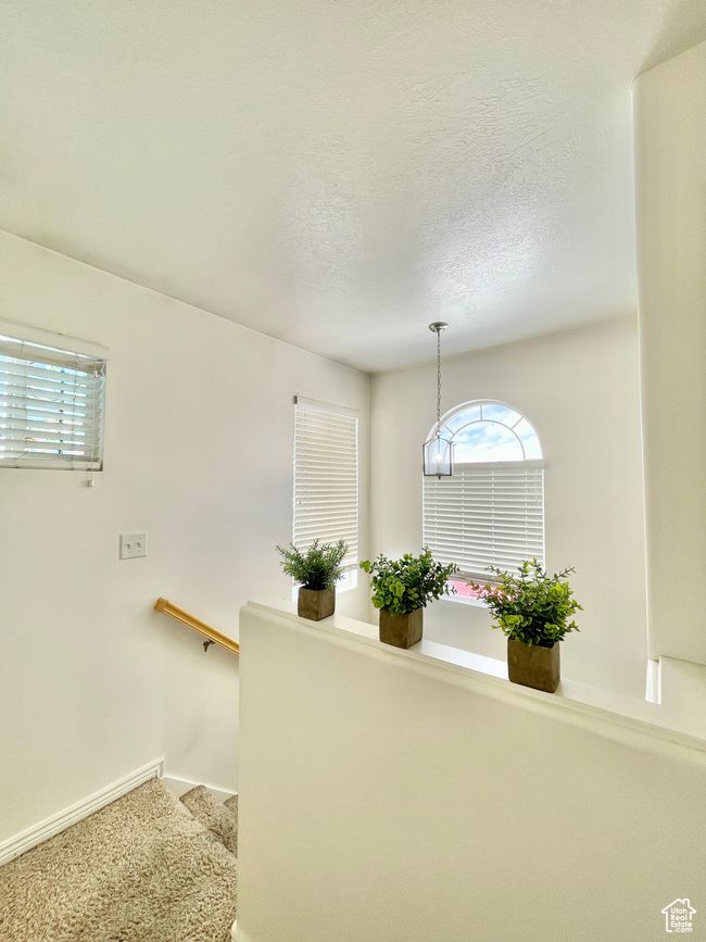 Stairway featuring healthy amount of natural light, baseboards, a textured ceiling, and carpet flooring | Image 14