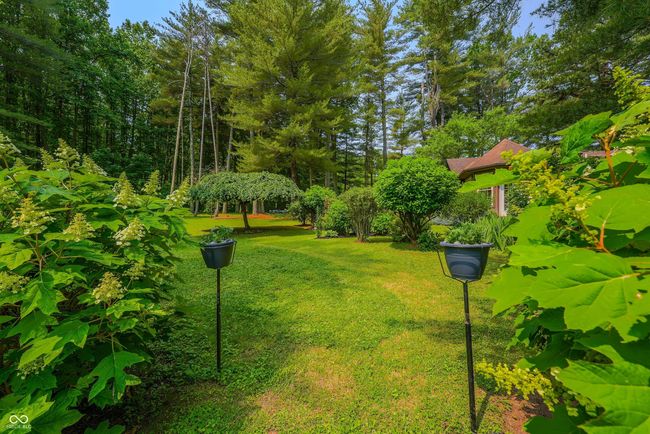 Garden | Image 42