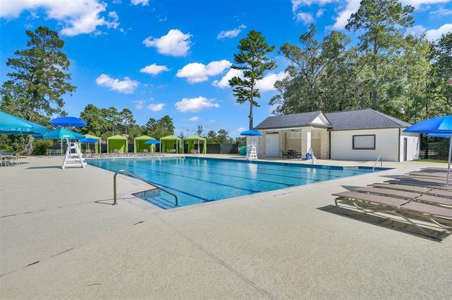 3921 Enchanted Timbers Ln, House other with 4 bedrooms, 2 bathrooms and 3 parking in Spring TX | Image 44