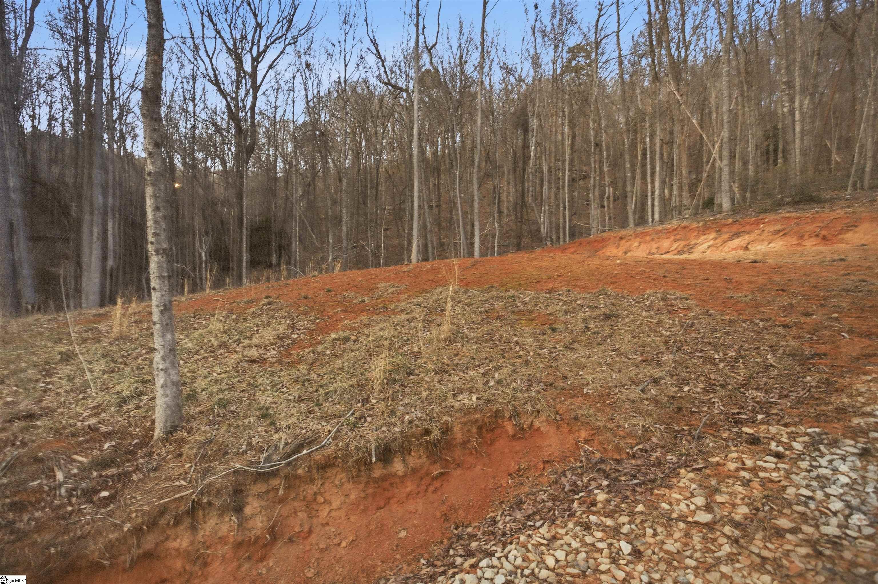 Land in Landrum 3
