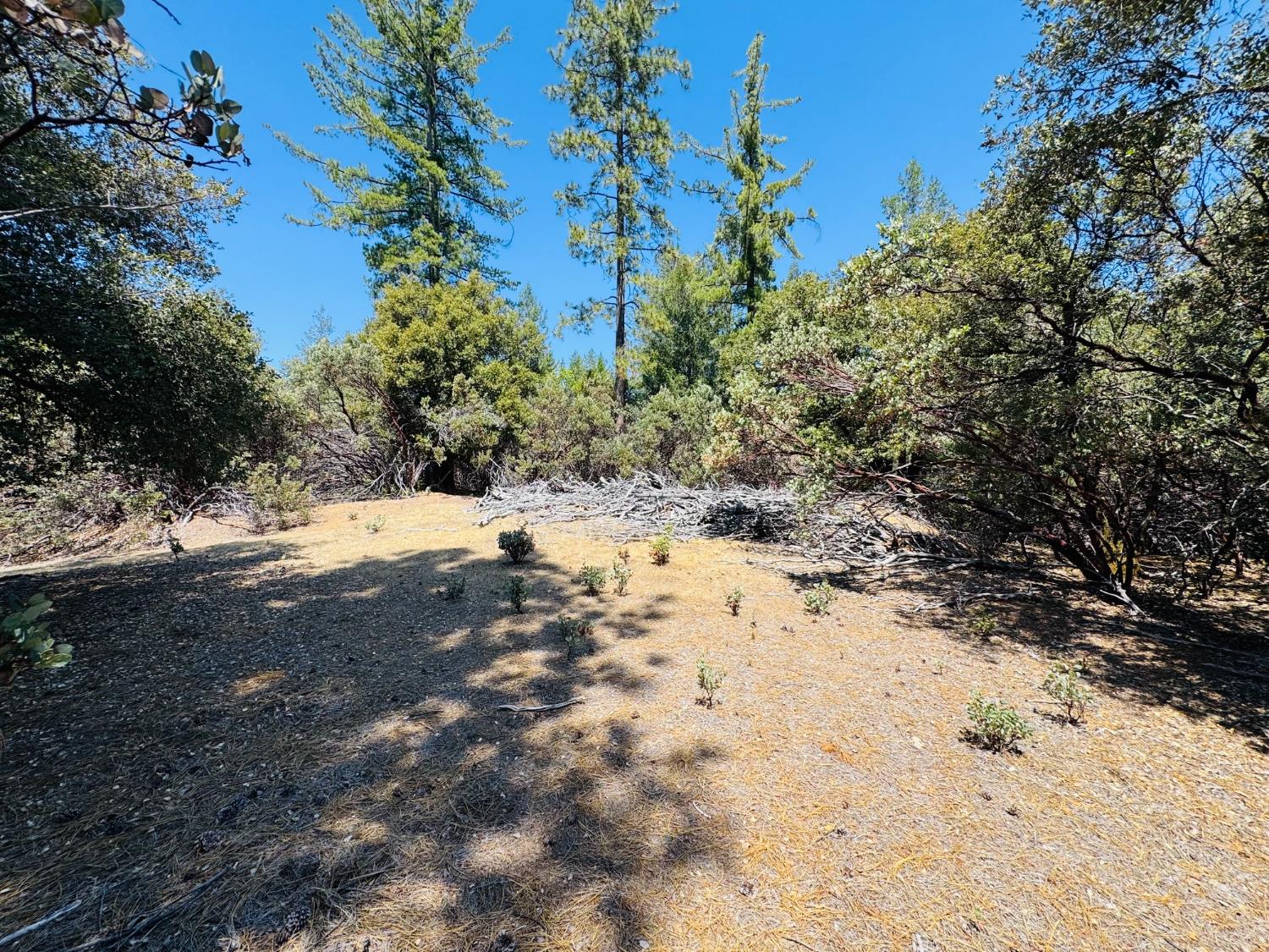 Land in Colfax 4