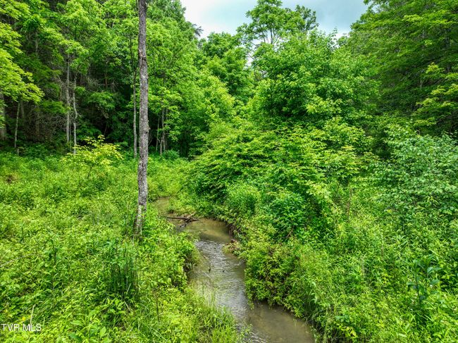 24483 Cave Creek Rd, House other with 5 bedrooms, 3 bathrooms and null parking in Abingdon VA | Image 92