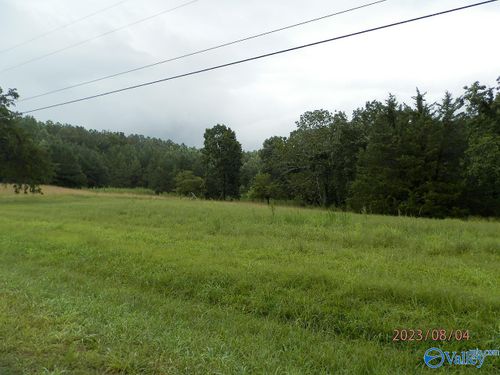 4243 Cotton Gin Road, Spruce Pine, AL, 35585 | Card Image