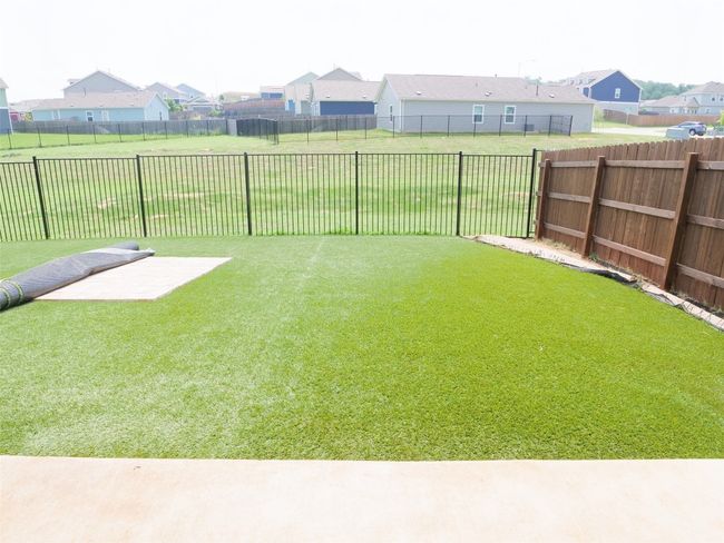 Low maintenance lawn | Image 33