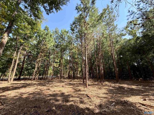 5 Acres +/- Oakland Drive, Gadsden, AL, 35901 | Card Image