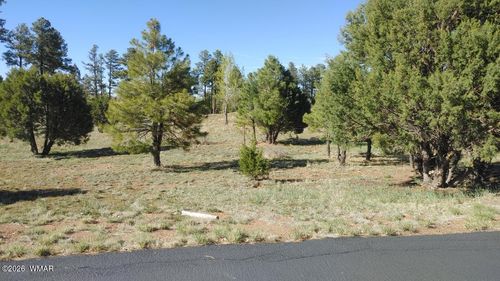 2254 Big Bear Cir, Overgaard, AZ, 85933-3271 | Card Image