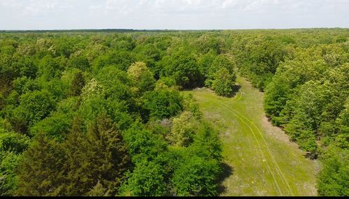 TBD County Road 1249, Detroit, TX, 75436 | Card Image