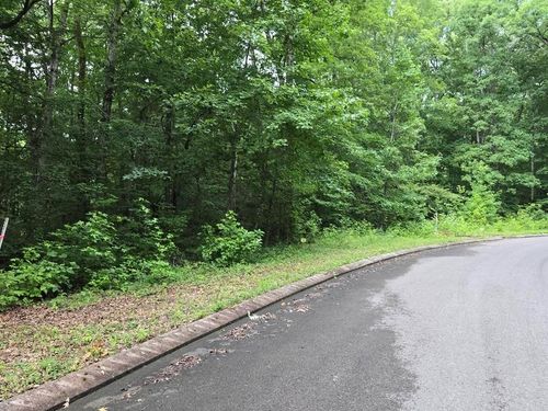 Lot 141 Lower Brow Rd, Dunlap, TN, 37327-6878 | Card Image