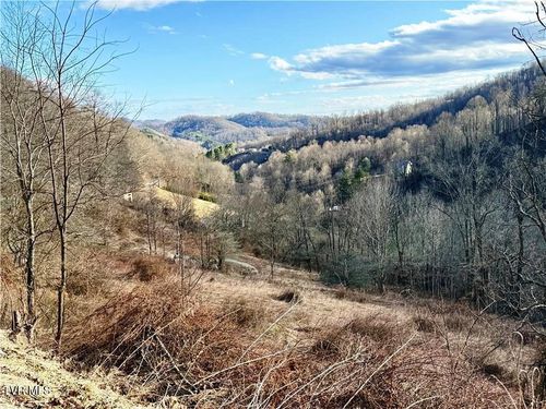 Tbd Willard Johnson Rd, Vilas, NC, 28692 | Card Image