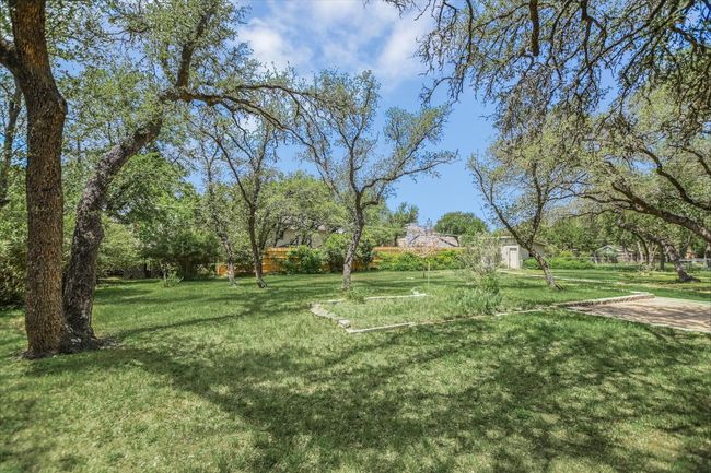 View of green lawn | Image 17