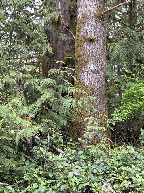 0 Lot 15 W Shore Dr, Mount Vernon, WA, 98274 | Card Image