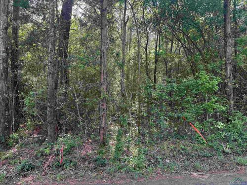 TBD 44 acres Cr 364 S, Henderson, TX, 75654 | Card Image