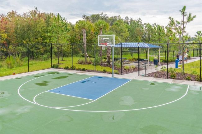 3208 Living Coral Dr, House other with 4 bedrooms, 3 bathrooms and null parking in ODESSA FL | Image 56