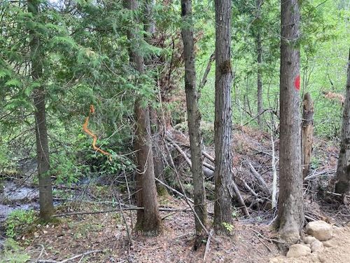 Lot 28 Concession 11 N/A, Lake of Bays, ON, P0A1H0 | Card Image