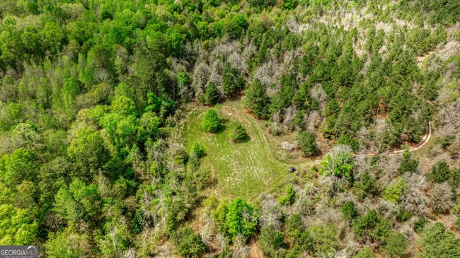 0 Kemp Rd, Home with 0 bedrooms, 0 bathrooms and null parking in Buena Vista GA | Image 16