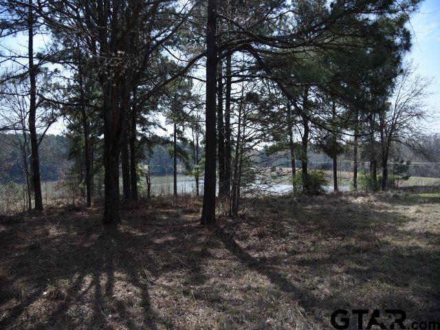 Land in Montalba