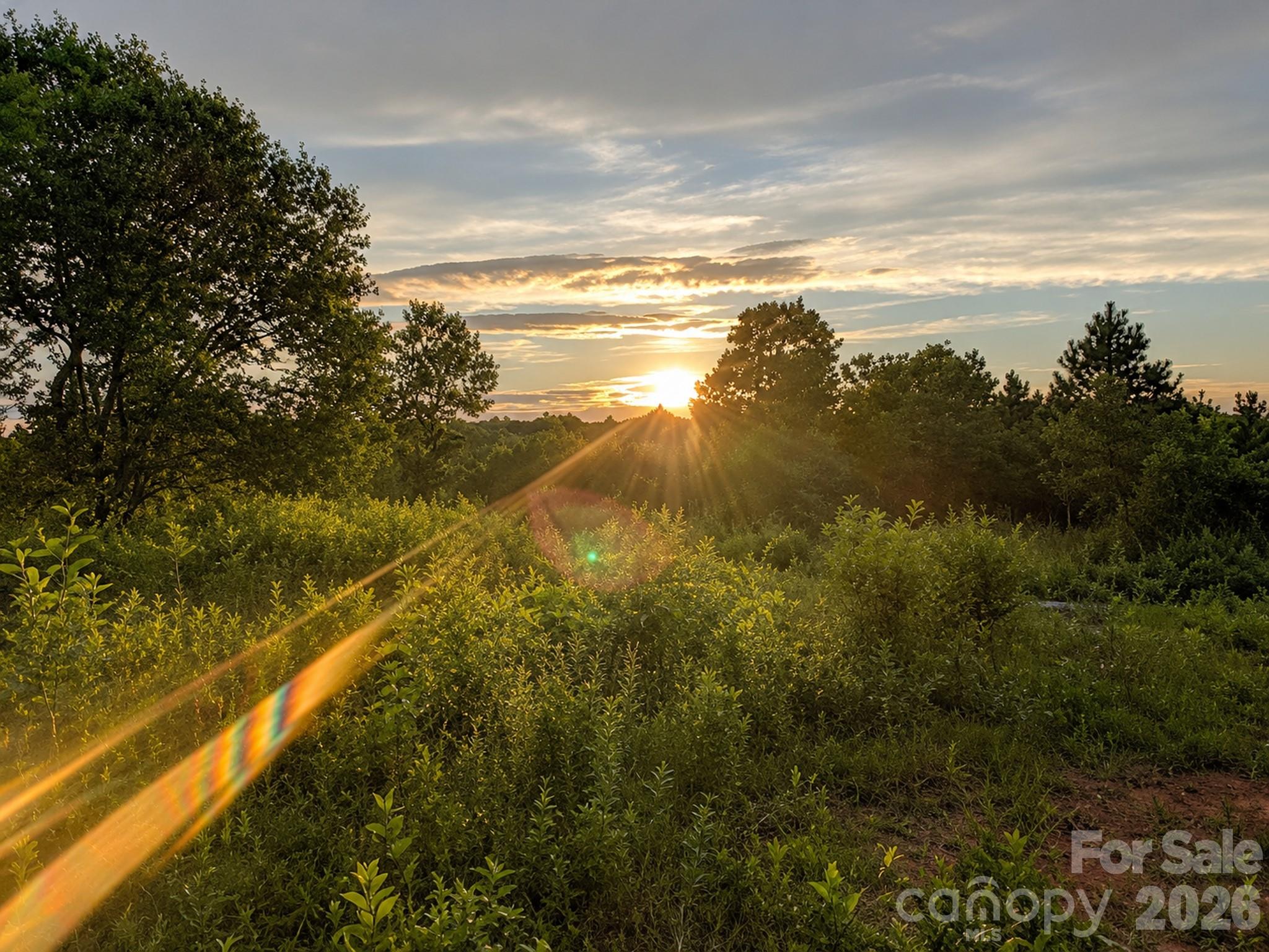 Land in Morganton 5