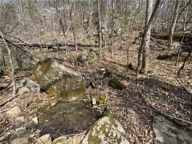 783 Nc 8400, House other with 2 bedrooms, 1 bathrooms and null parking in Jasper AR | Image 45