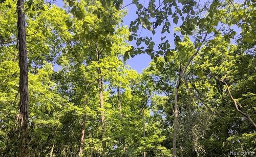 Parcel A - Rolston Road, Argentine Township, MI, 48451 | Card Image