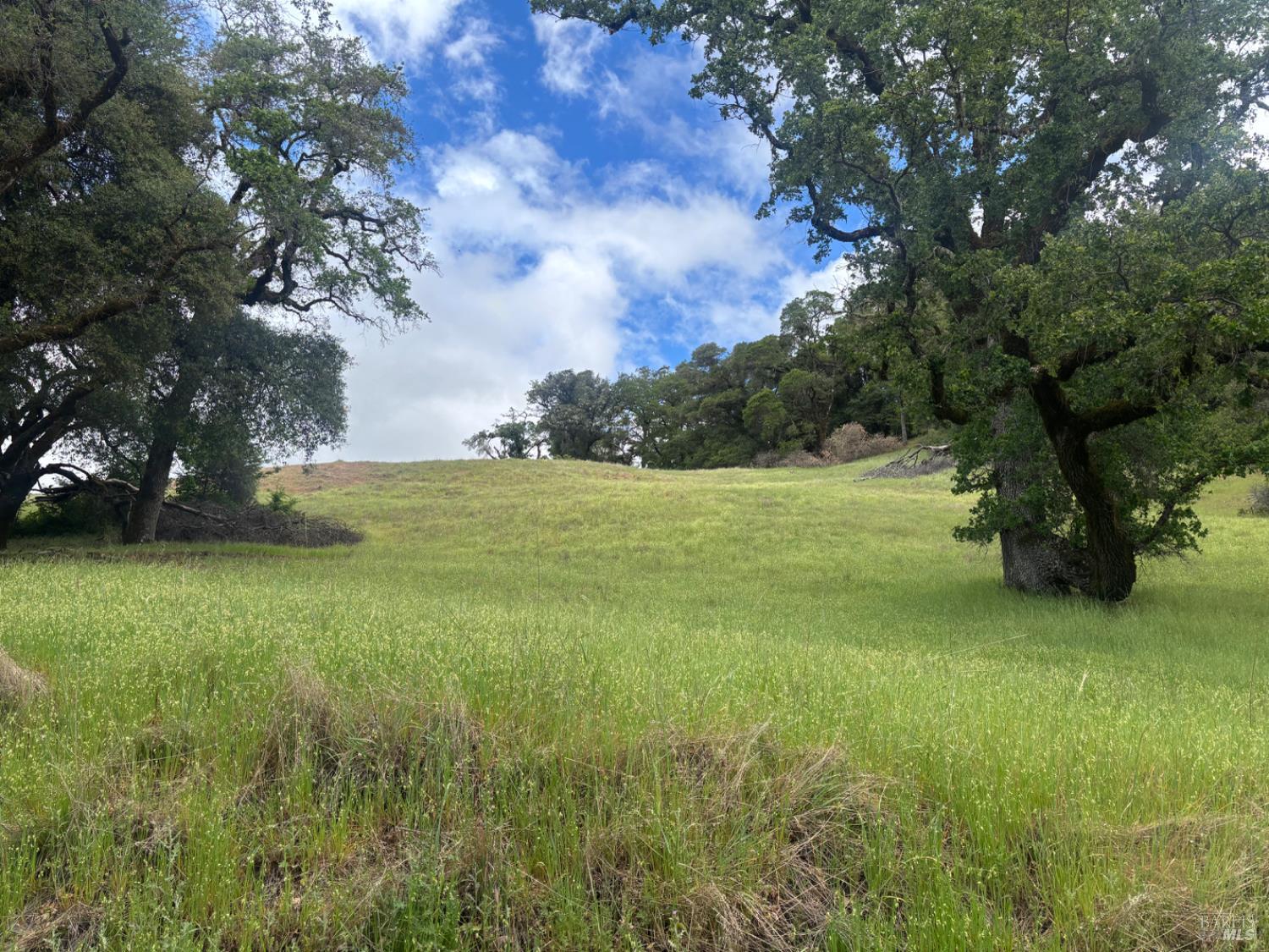 Land in Redwood Valley 2