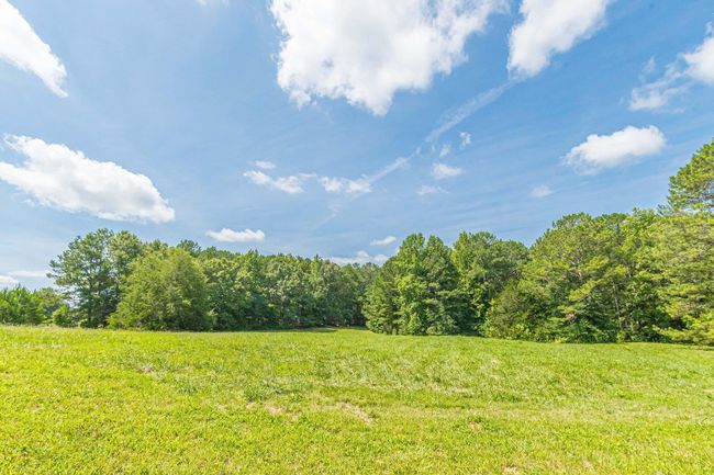 1130 Coan Dr, Home with 3 bedrooms, 2 bathrooms and null parking in Locust Grove GA | Image 54