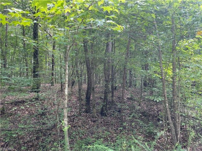 17 Old Mill Rd, Home with 0 bedrooms, 0 bathrooms and null parking in Providence NC | Image 4