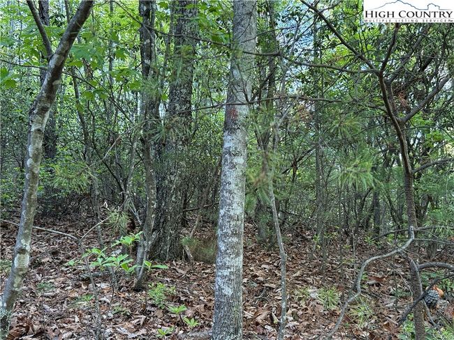 27 Wolf Pen Rd, Home with 0 bedrooms, 0 bathrooms and null parking in Purlear NC | Image 8