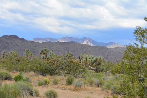 11719 Duncan Rd, Yucca, AZ, 86438 | Card Image