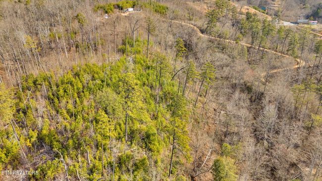 1205 Maples Manor Way, Home with 0 bedrooms, 0 bathrooms and null parking in GATLINBURG TN | Image 25
