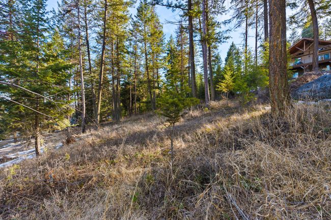 393 Skookum Rd, Home with 0 bedrooms, 0 bathrooms and null parking in Lakeside MT | Image 8