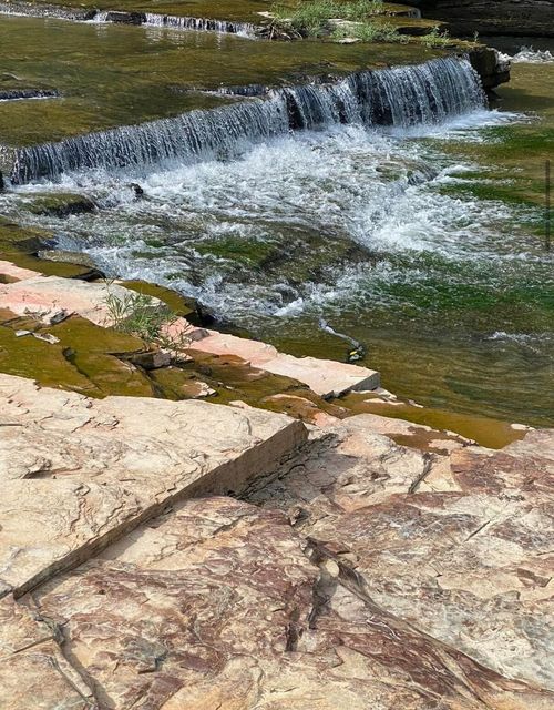 1124 Highway 3264, Science Hill, KY, 42553-8916 | Card Image