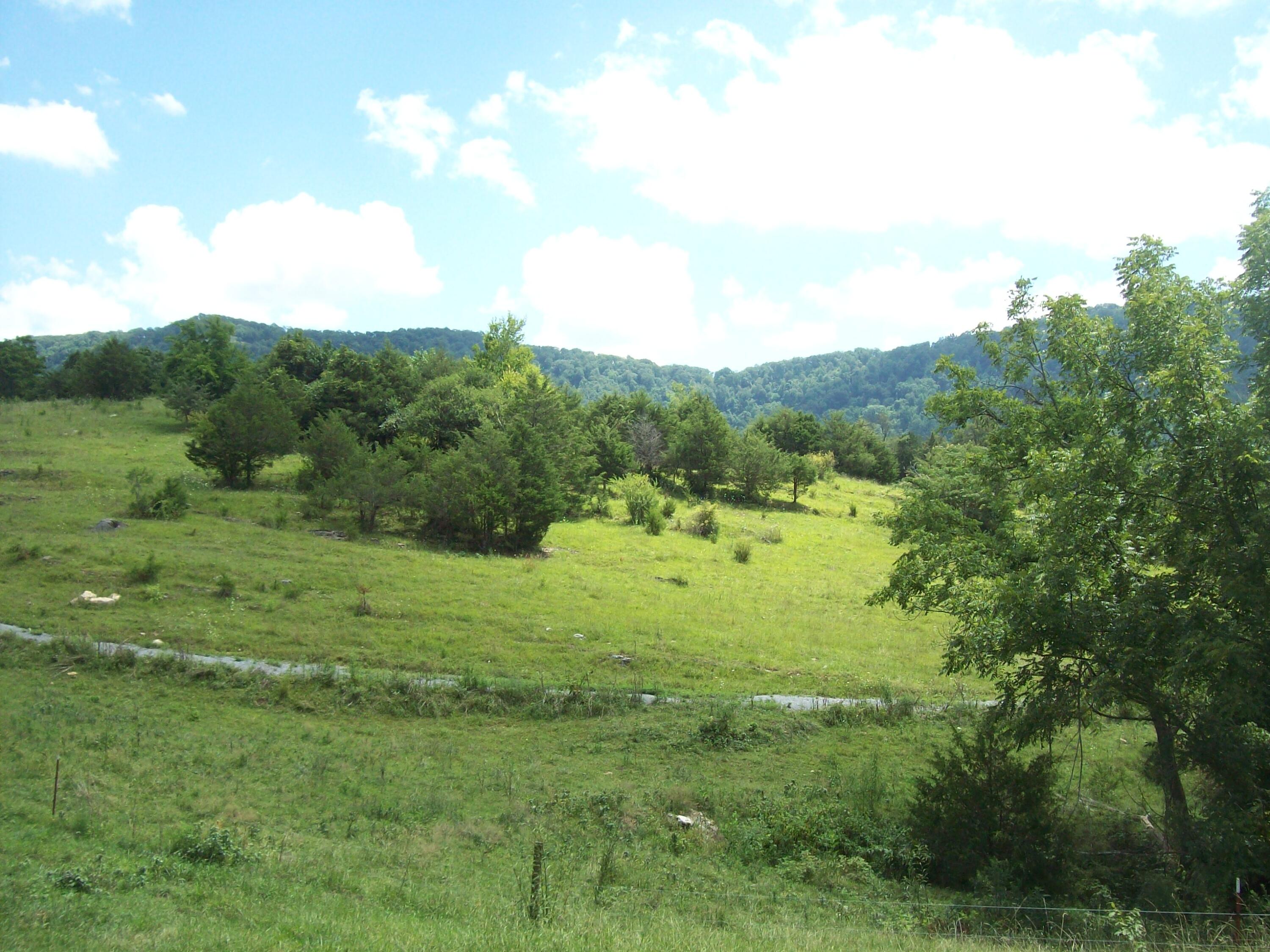 Ringley Ln, Tazewell, TN 37879