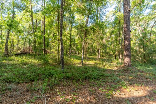 5282 S Robert Blake Ave, INVERNESS, FL, 34452-7829 | Card Image