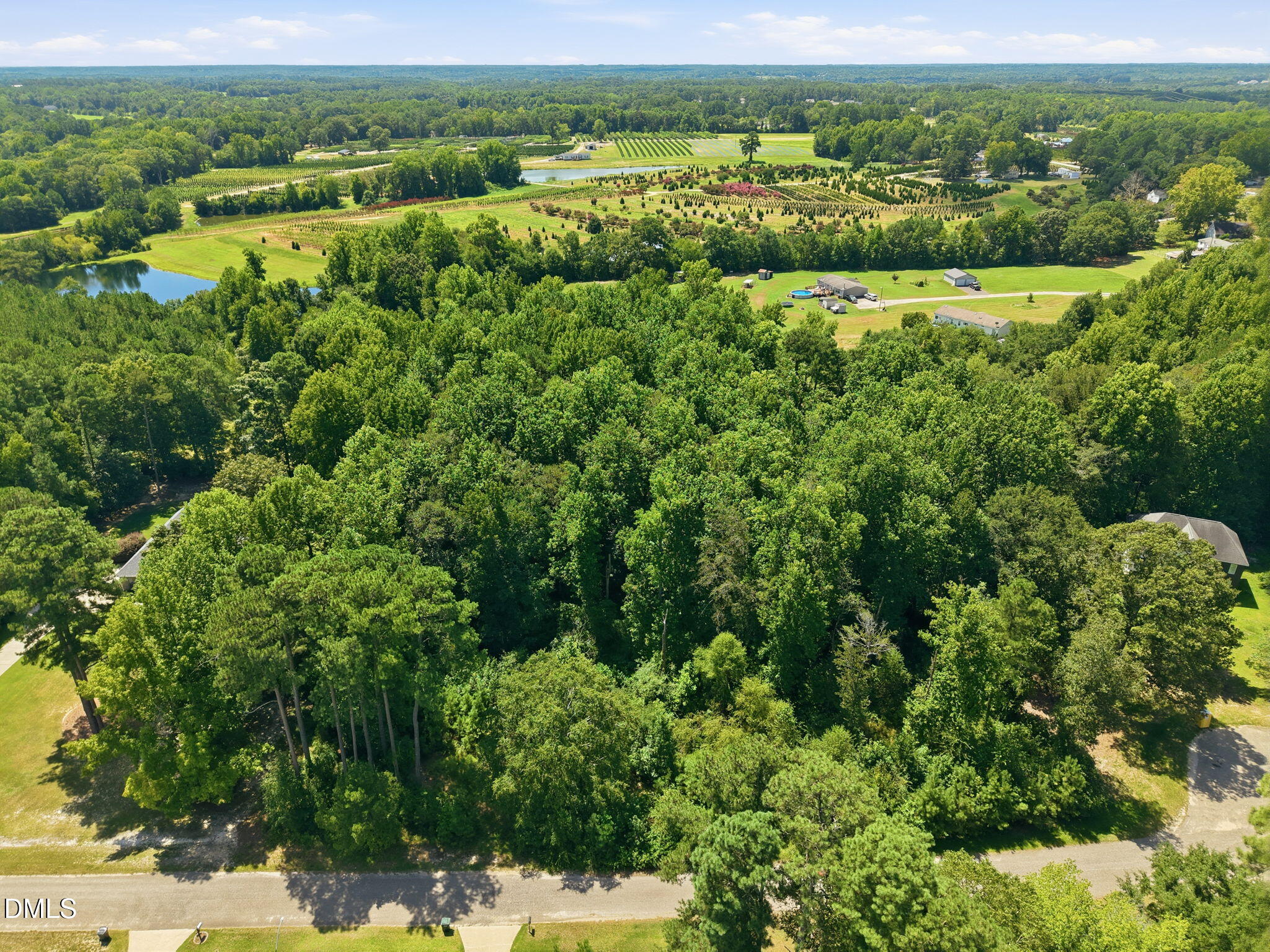 Land in Angier 3