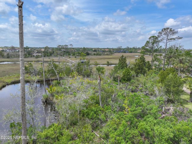 24631 Deer Trace Dr, Home with 0 bedrooms, 0 bathrooms and null parking in PONTE VEDRA BEACH FL | Image 22