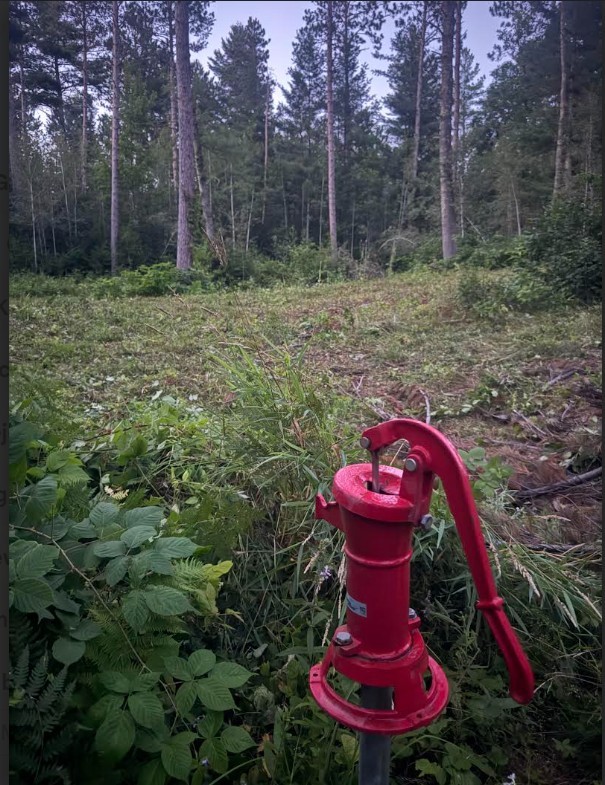 Land in Springbrook 5