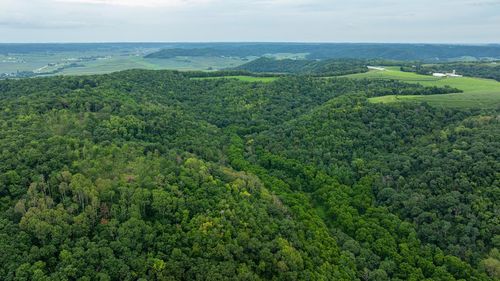 0 Leykom Rd, Cochrane, WI, 54622 | Card Image