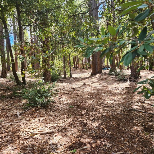 11254 Winding Way, Home with 0 bedrooms, 0 bathrooms and null parking in Clipper Mills CA | Image 11