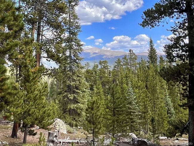676 Dry Gulch Rd, Home with 0 bedrooms, 0 bathrooms and null parking in Fairplay CO | Image 12