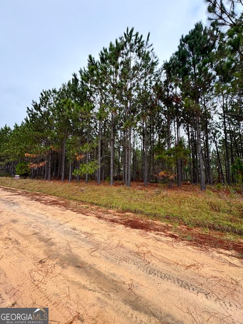 664 Mt Carmel Church Rd, Alamo, GA, 30411-4106 | Card Image