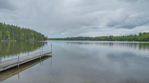 53549 Little Bear Trl, Bigfork, MN, 56628-6003 | Card Image