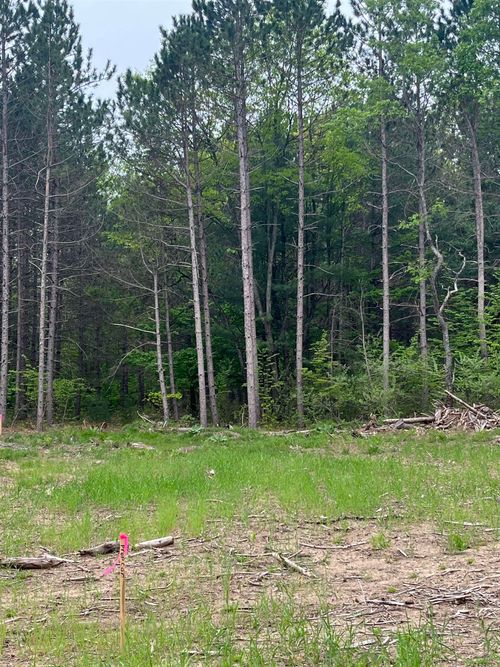parcel C Theron Road, Blair Township, MI, 49685 | Card Image