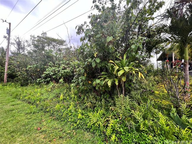 0 Wehelauniu St, Home with 0 bedrooms, 0 bathrooms and null parking in Pahoa HI | Image 4