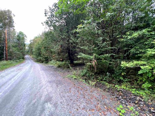 lot-f-- Wayesses Shore Road, Morgan, VT, 05853 | Card Image