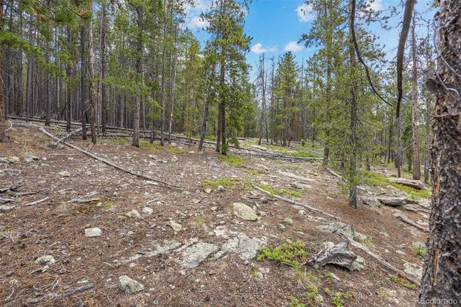 8570 S Warhawk Rd, Home with 0 bedrooms, 0 bathrooms and null parking in Conifer CO | Image 6